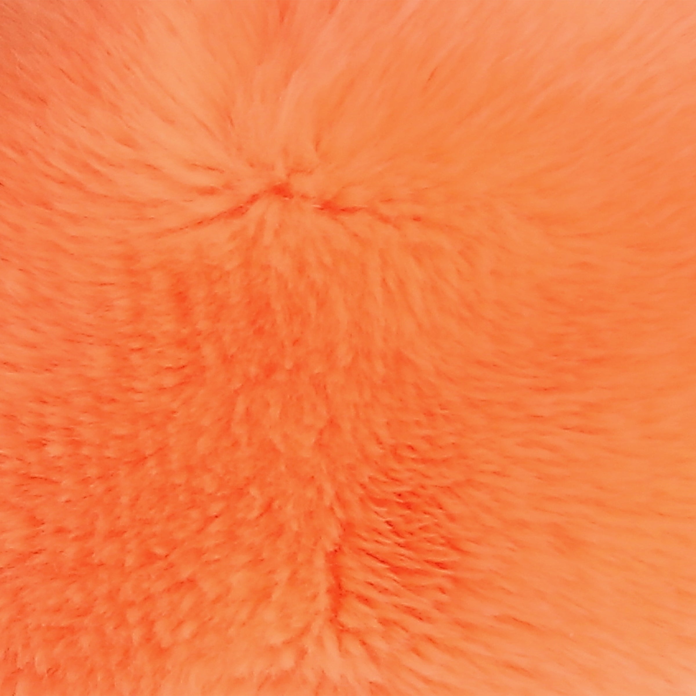 Aurora® - 9 Fungi Friends™、mySite、g9winljtr