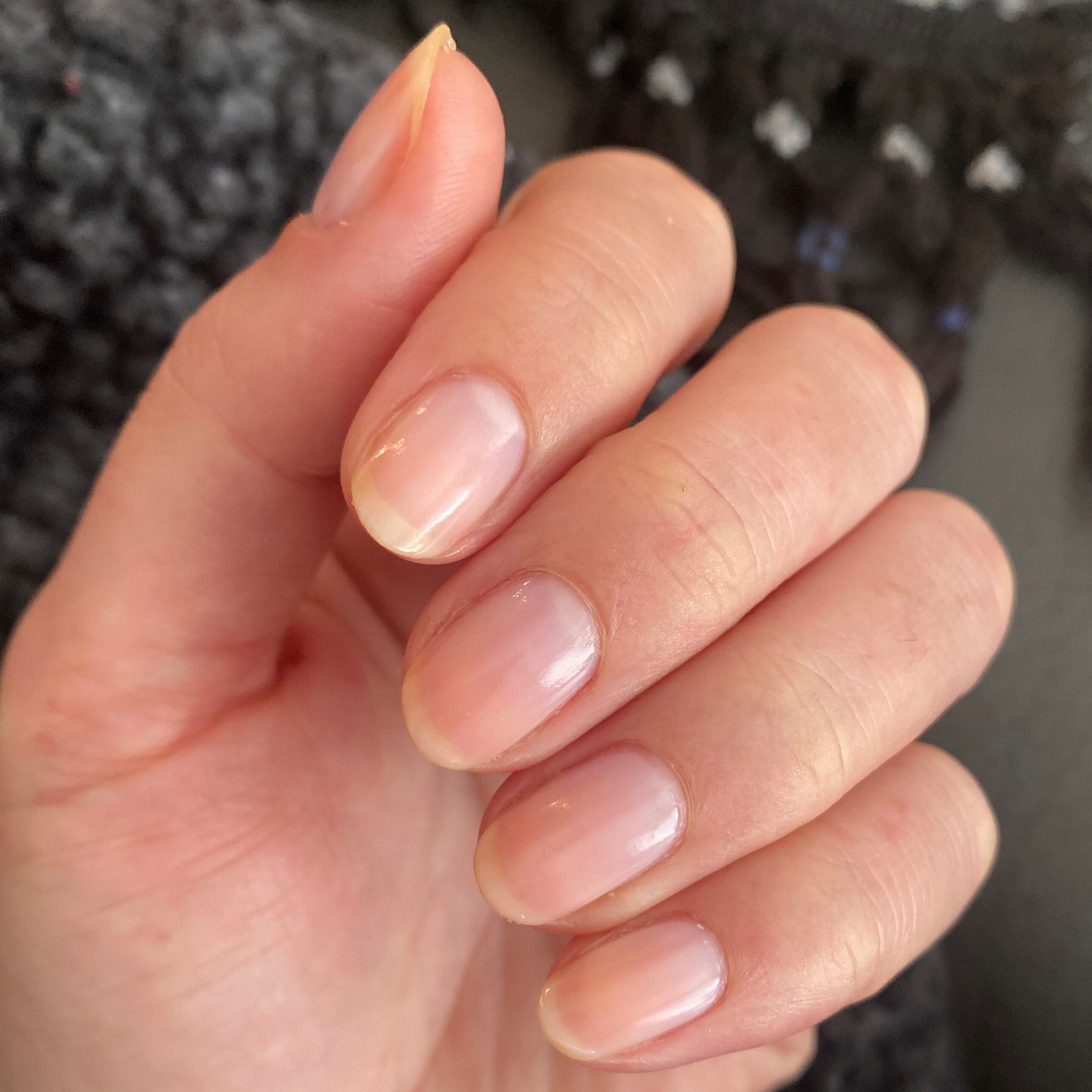 CCT、mySite、solidvoid