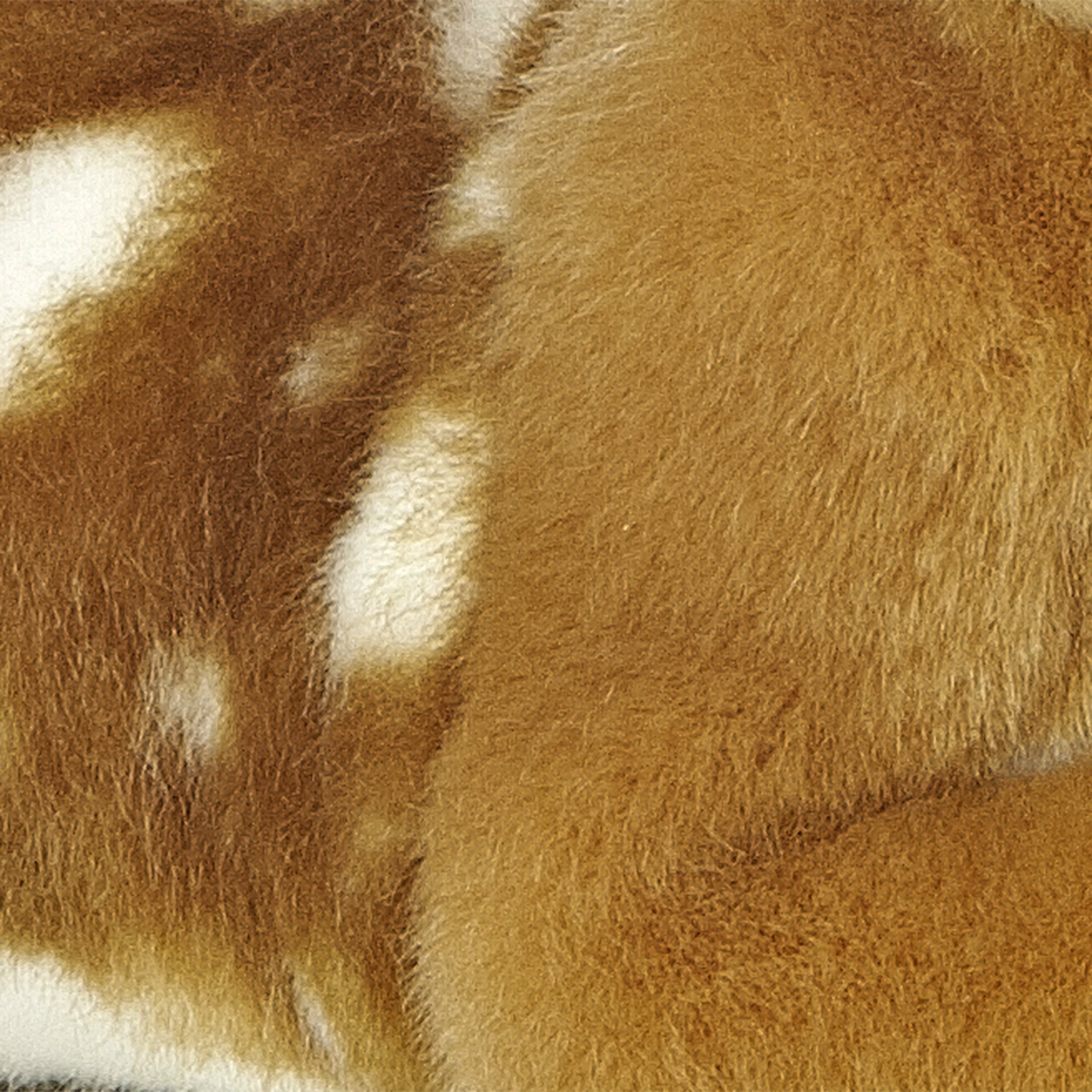 Aurora® - Miyoni® - Fawn、mySite、g9winljtr