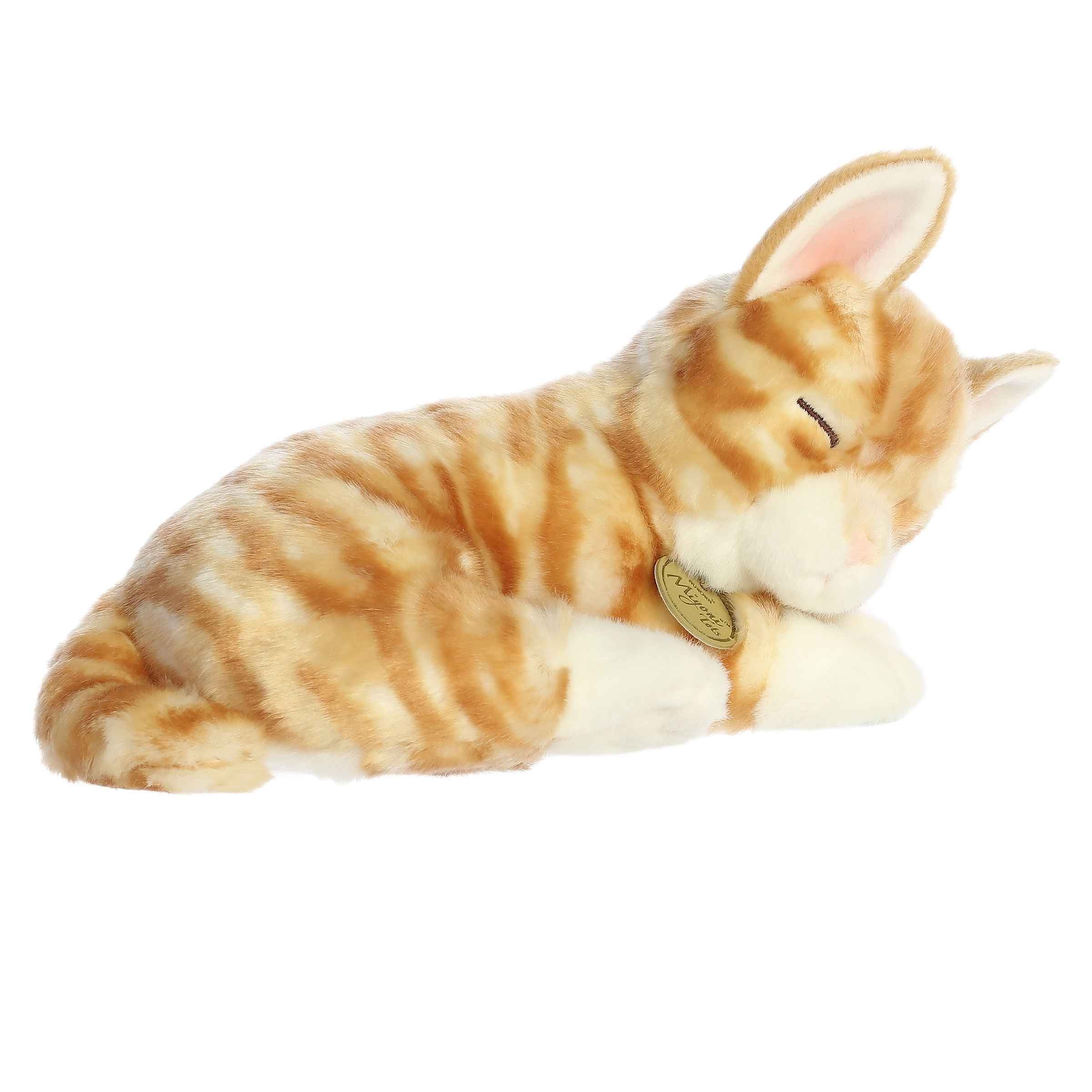 Aurora® - Miyoni® Tots - 10 Sleepy Tabby Kitten、mySite、g9winljtr