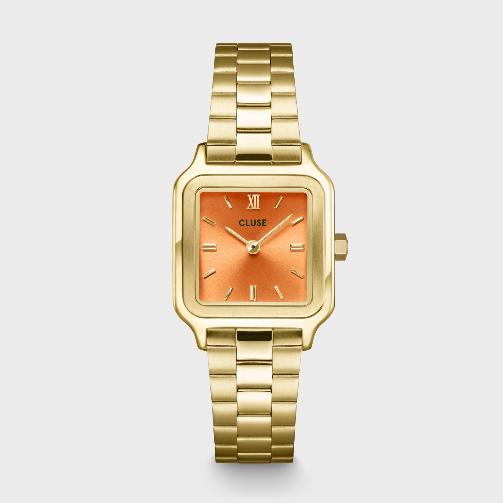Gracieuse Petite Watch Steel, Apricot, Gold Colour、mySite、botmansion