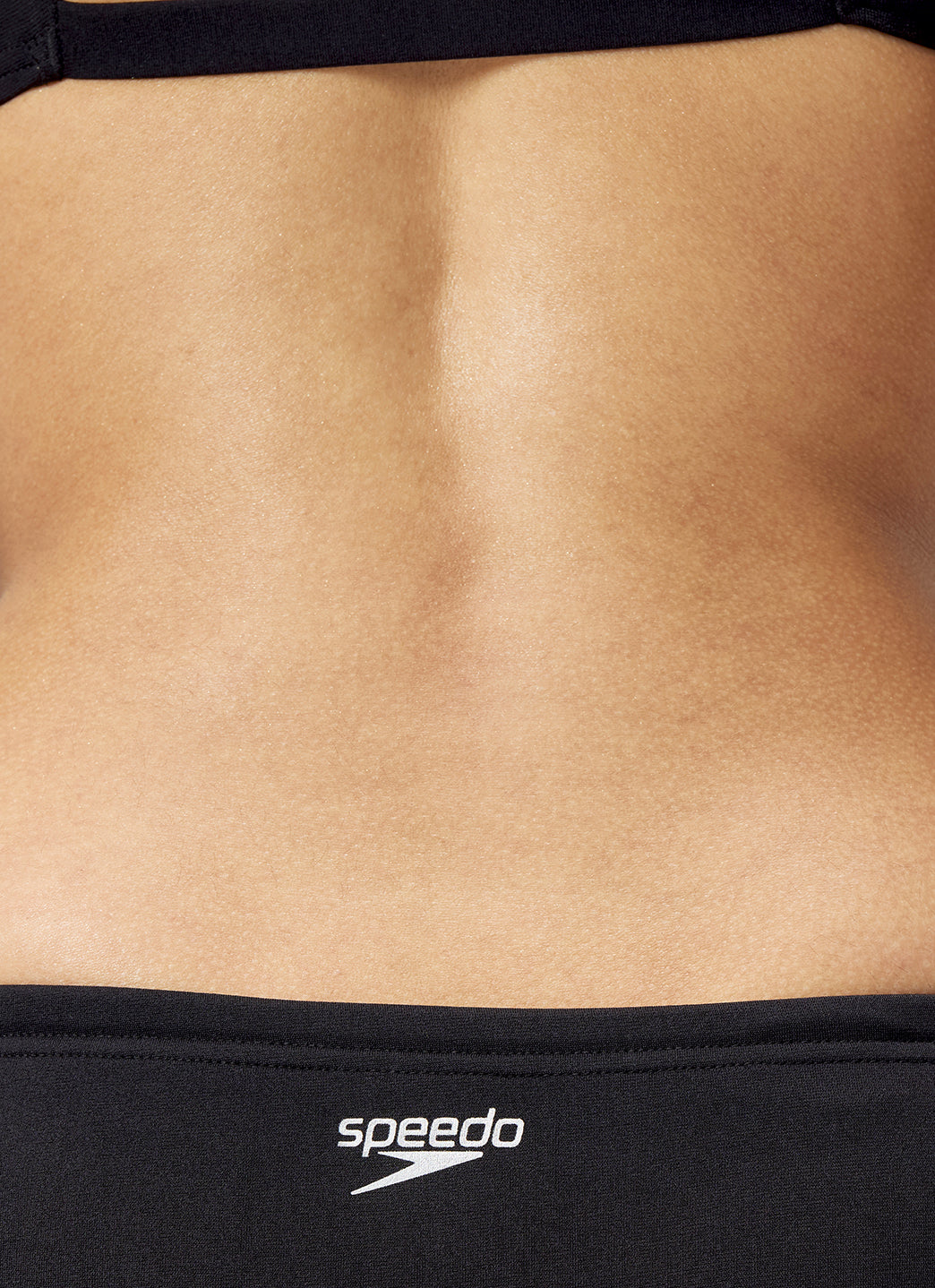 Speedo Women's Solid Classic Bikini Bottom、mySite、noshort