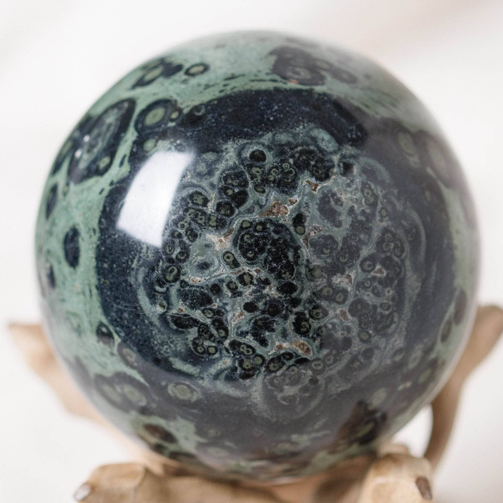 Kambaba Jasper Sphere - AAA Premium Quality、mySite、hinf8tx79