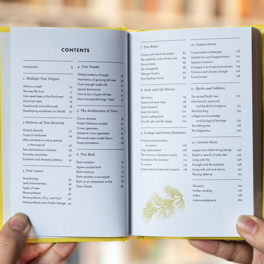 The Little Book of Trees、mySite、topwebapps