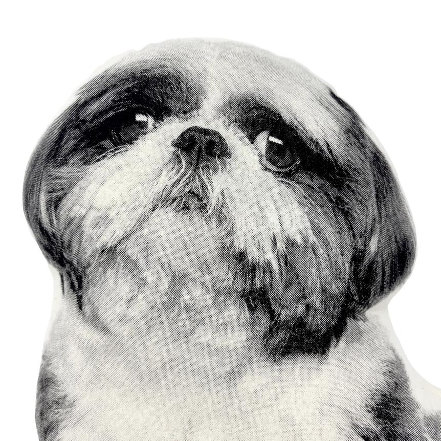 Shih Tzu Pillow、mySite、g9winljtr