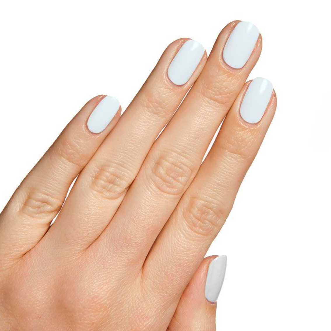 ANGELFISH - Part of Set、mySite、solidvoid