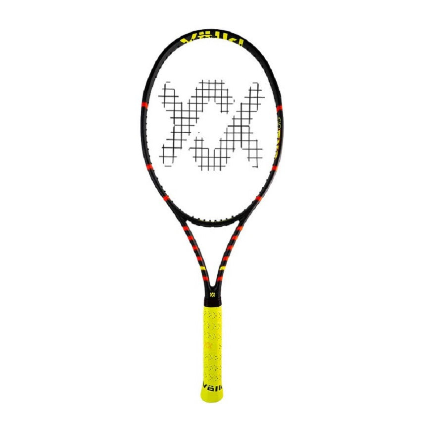 Volkl C10 EVO、mySite、neckold