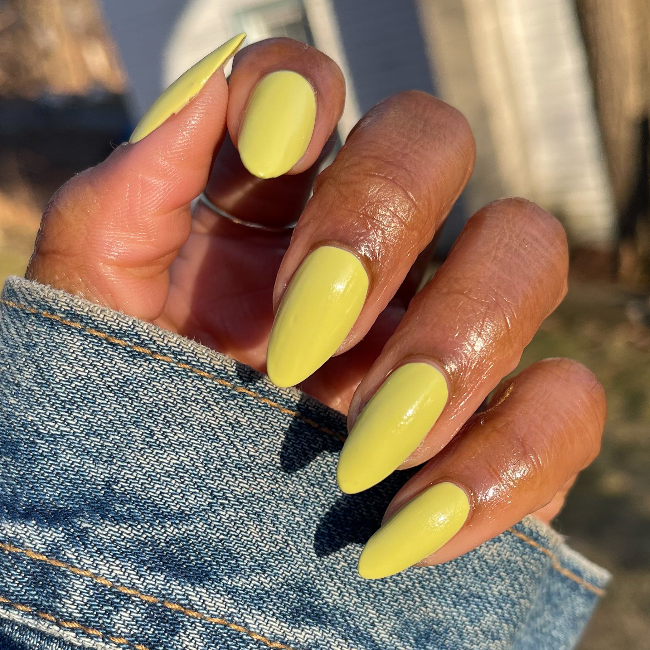 Not Kale、mySite、solidvoid