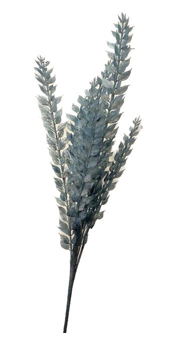  Blue Sumac Floral Stem、mySite、elrpsem3k