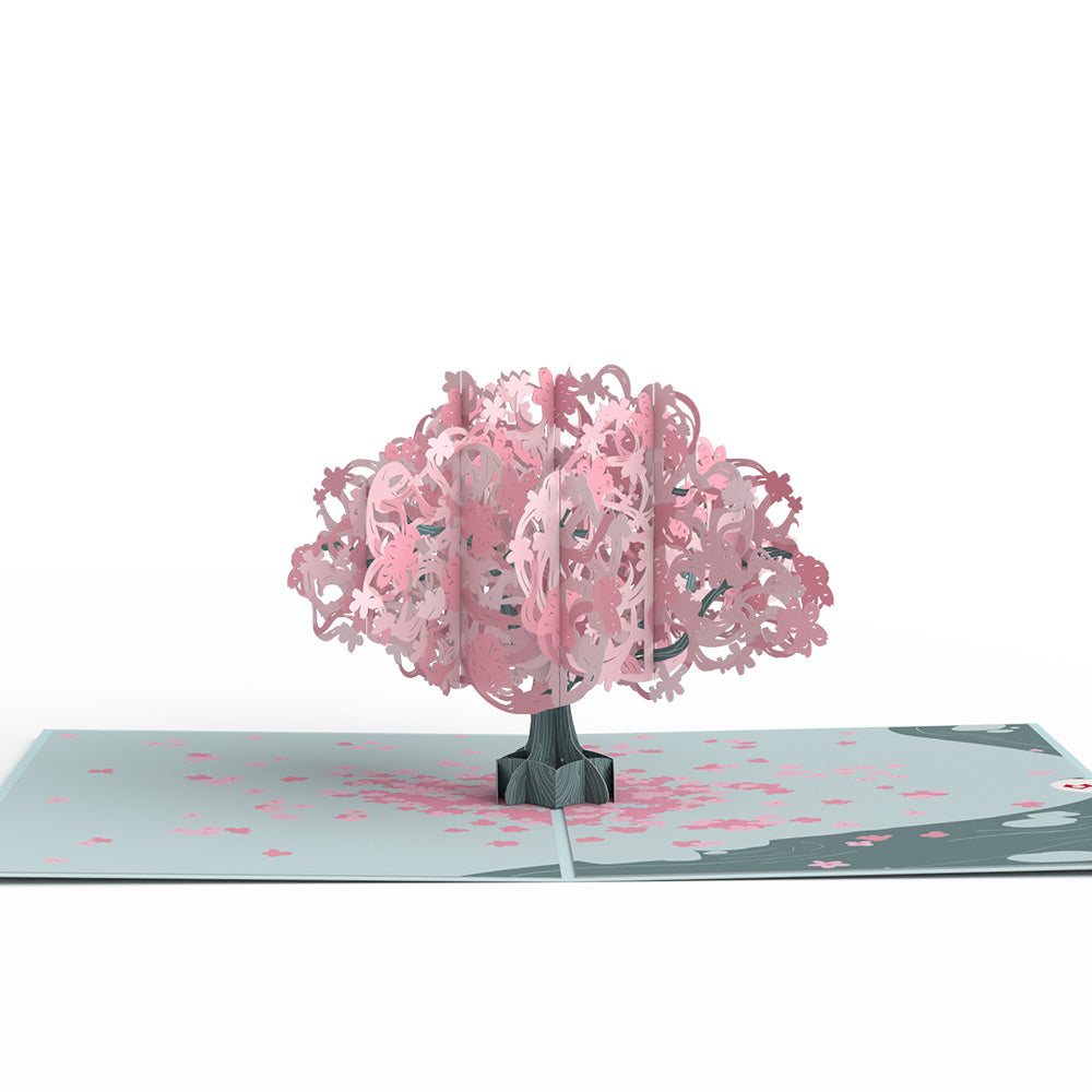 Birthday Cherry Blossom Pop-Up Card、mySite、solidvoid