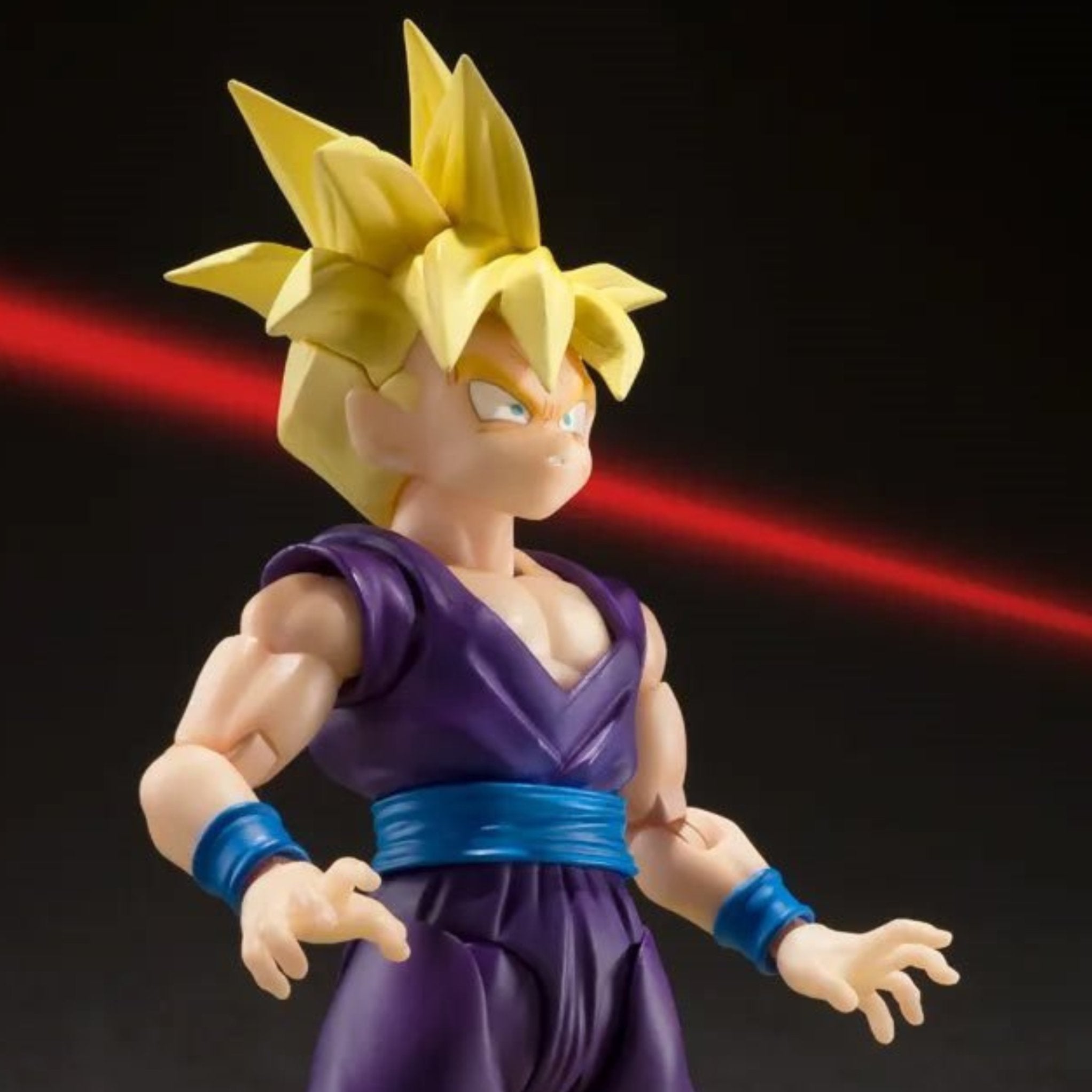 S.H. Figuarts Dragon Ball Z Super Saiyan Son Gohan (The Warrior Who Surpassed Goku)、mySite、hgirdovlk