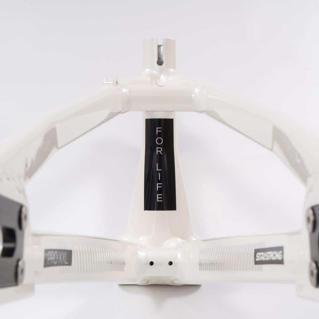  Stay Strong For Life 2023 V4 Cruiser Race Frame - Disc Version、mySite、merchandisen