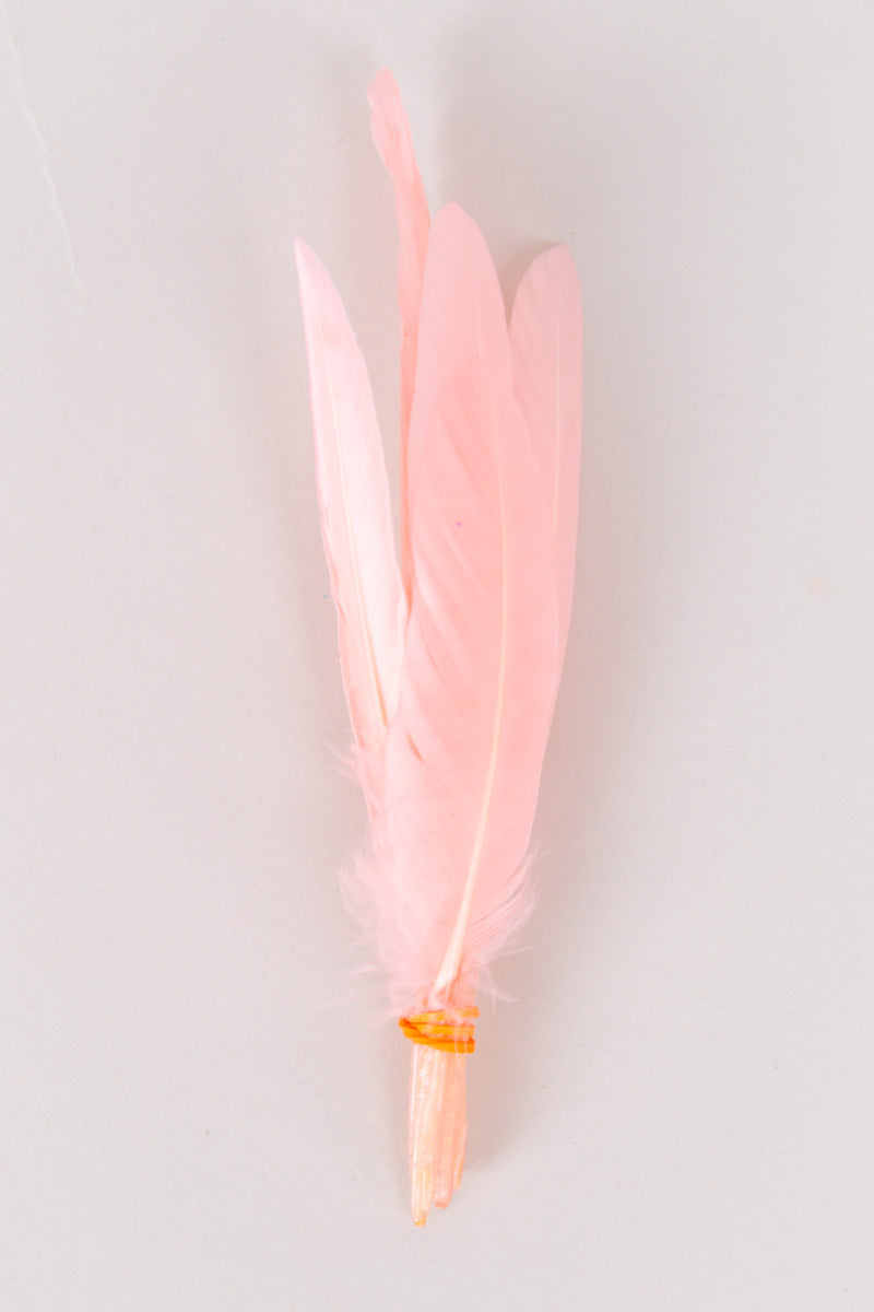 Mini Goose Feathers Bundle of 6- Orange Rubber Band - FINAL SALE、mySite、hinf8tx79