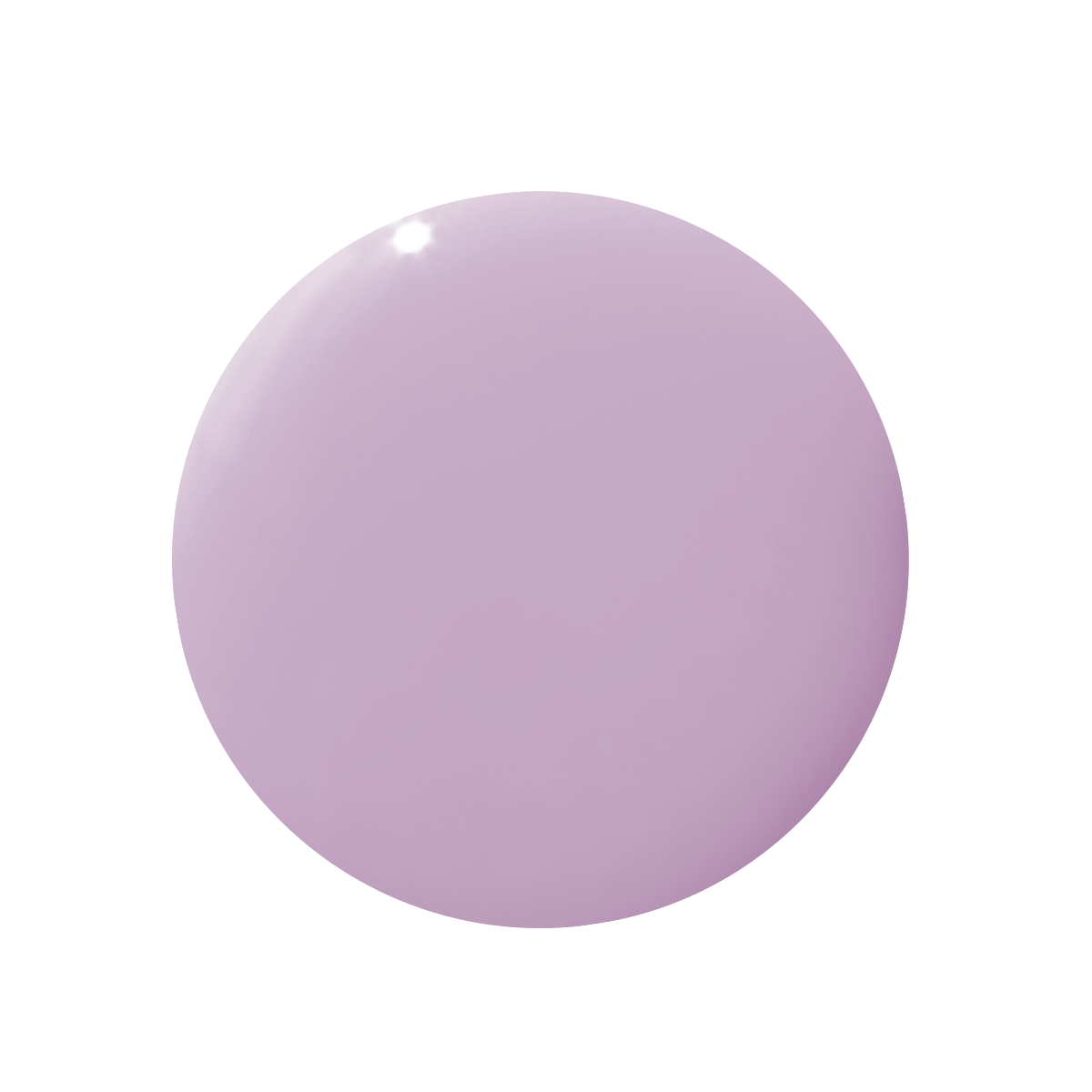 Lavender Stems、mySite、solidvoid