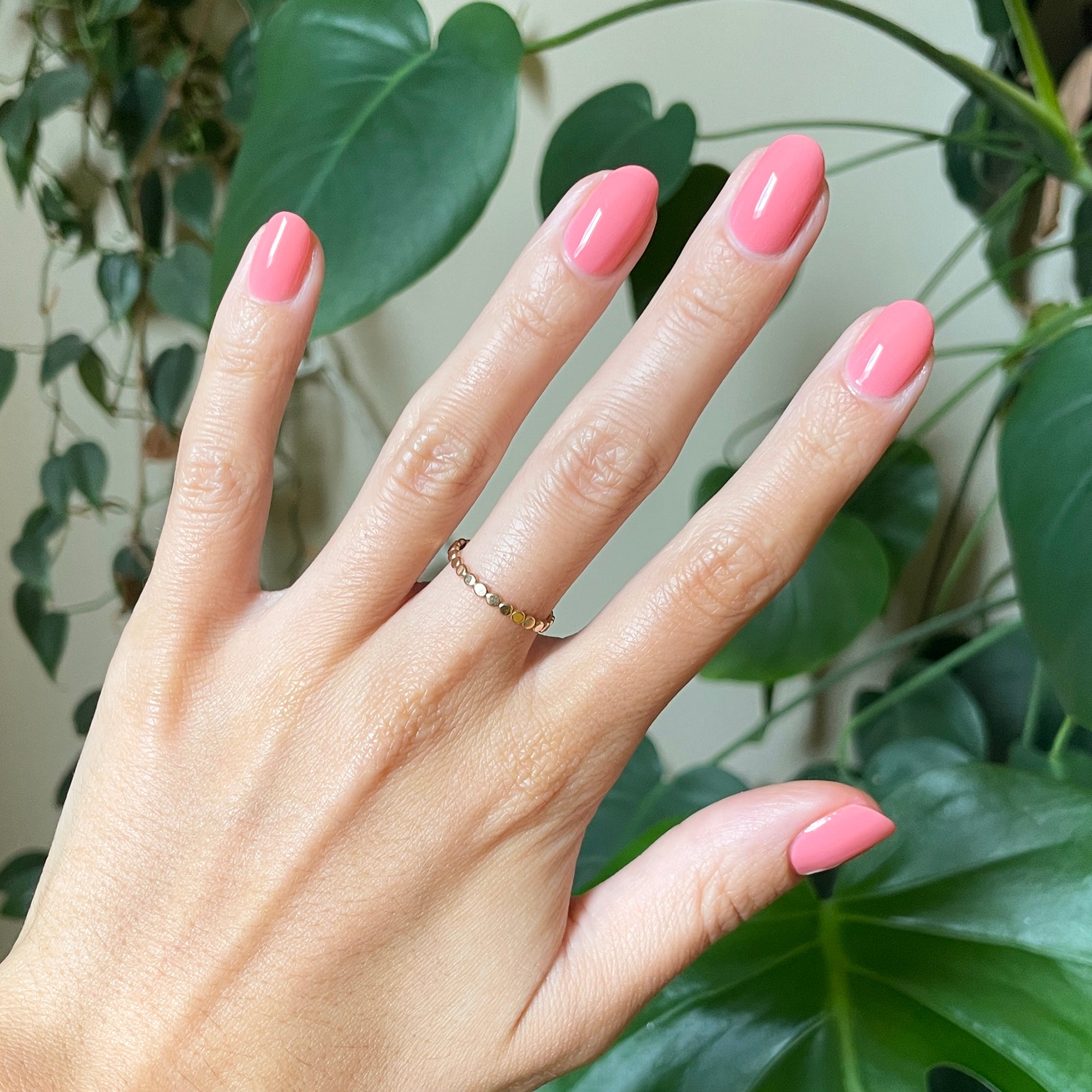 Papaya Gloss、mySite、solidvoid