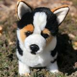 Tri-Color Plush Welsh Corgi Large Soft Cuddle Buddy、mySite、g9winljtr