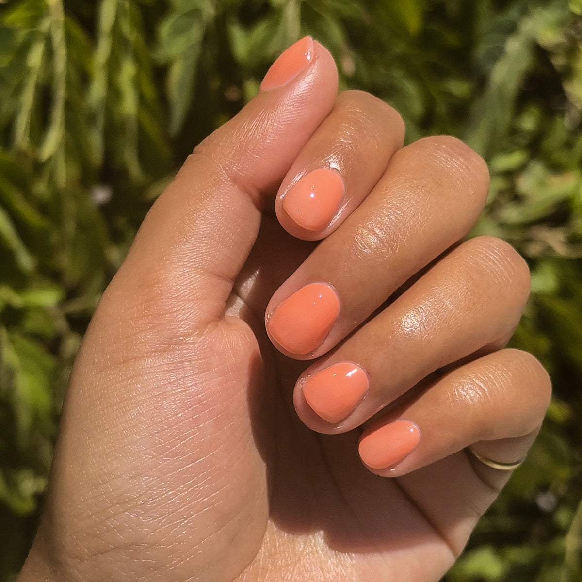 Peeptoe、mySite、solidvoid