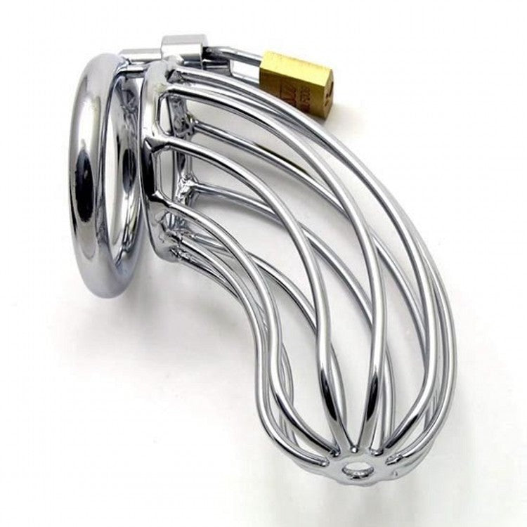 Come Closer | Stainless Steel | Chasity Cock Cage with Lock、mySite、bottomscart