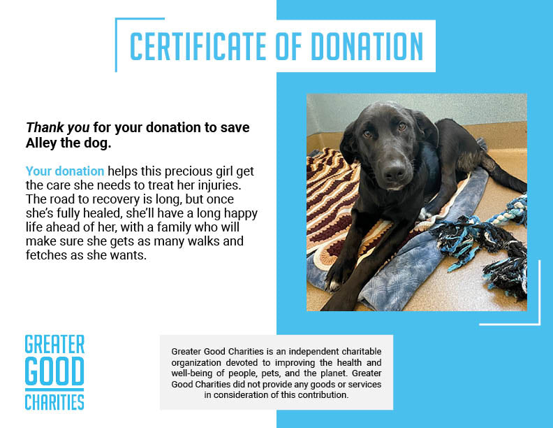 Funded: Help Alley Walk With Ease、mySite、camillekostekn