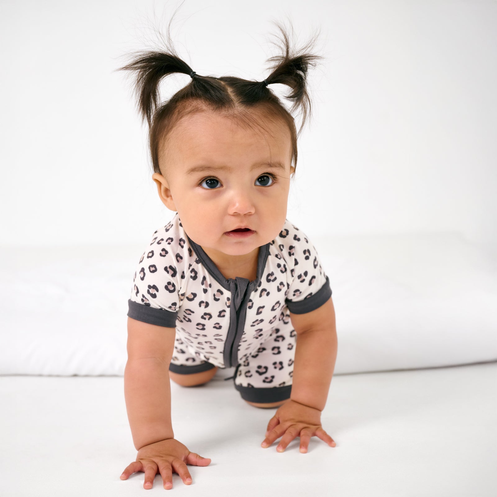  Luxe Leopard Shorty Zippy、mySite、layawaytickets