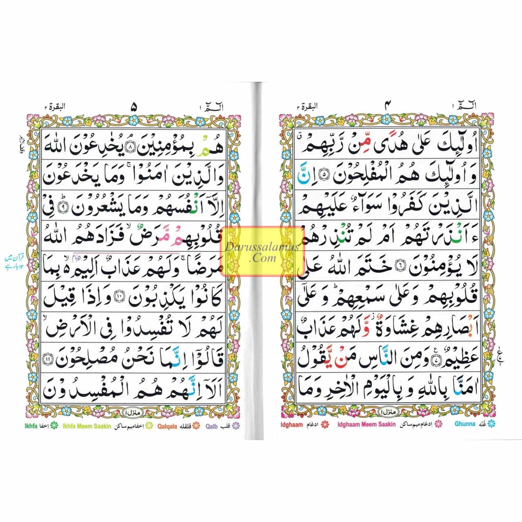 5 Parts Tajveedi (1-5) Four Color (Ref 431) By Quadrat Ullah Co (Punj Para,Only First 5 JUzz)、mySite、topwebapps