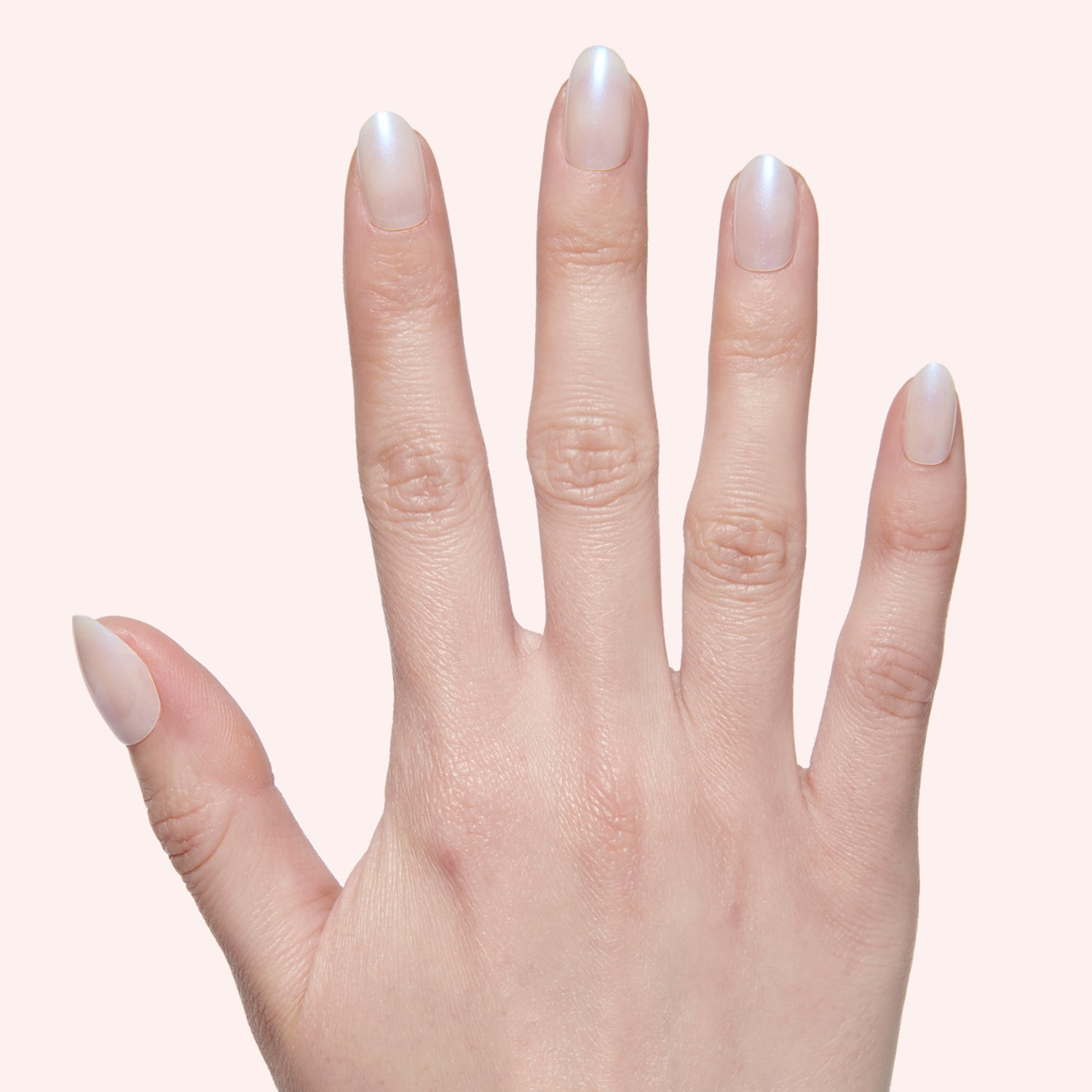 Pink Goldfish | Round | Extra Short、mySite、solidvoid