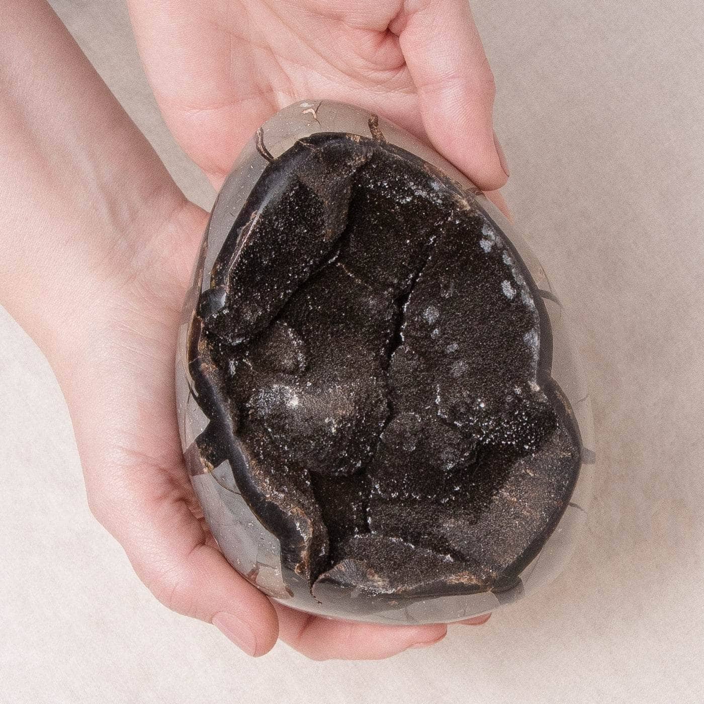 Rare Black Septarian Freeform Crystal、mySite、hinf8tx79