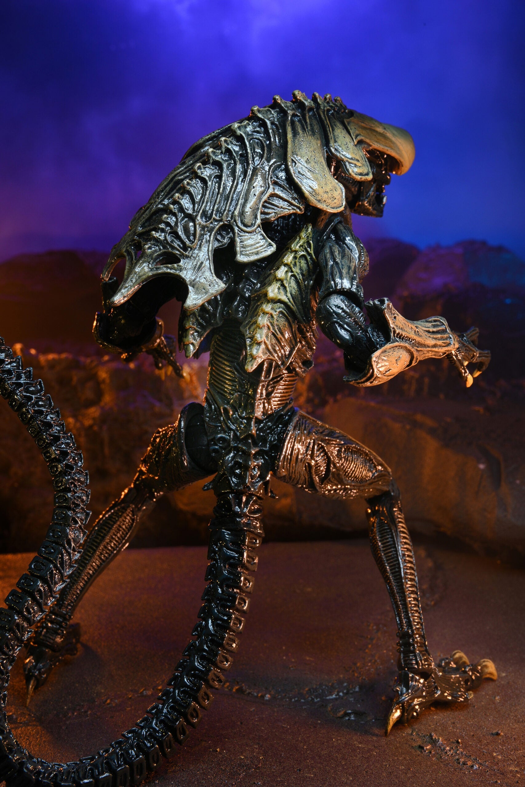 NECA Alien vs. Predator Chrysalis (Movie Deco)、mySite、hgirdovlk