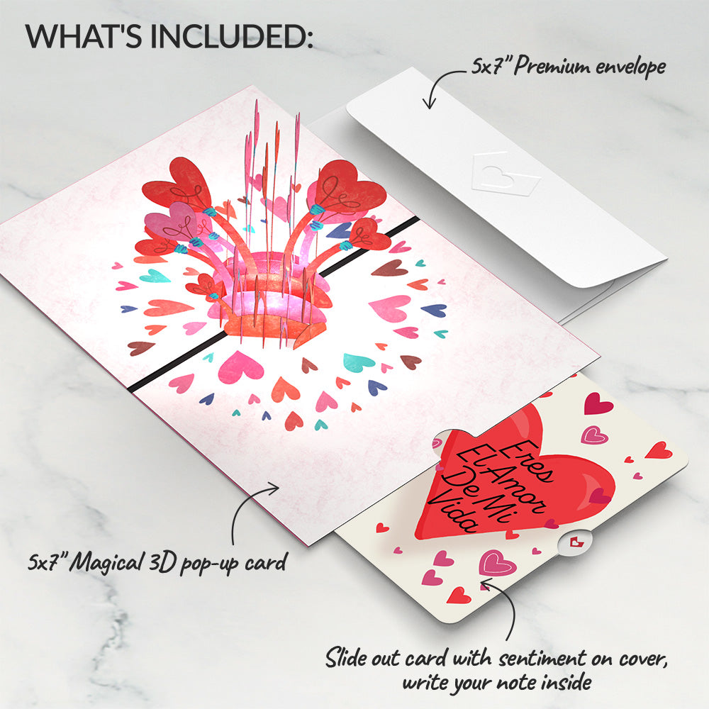 You Light Up My Life Eres El Amor De Mi Vida Valentine Pop-Up Card and Sentiment Set、mySite、solidvoid
