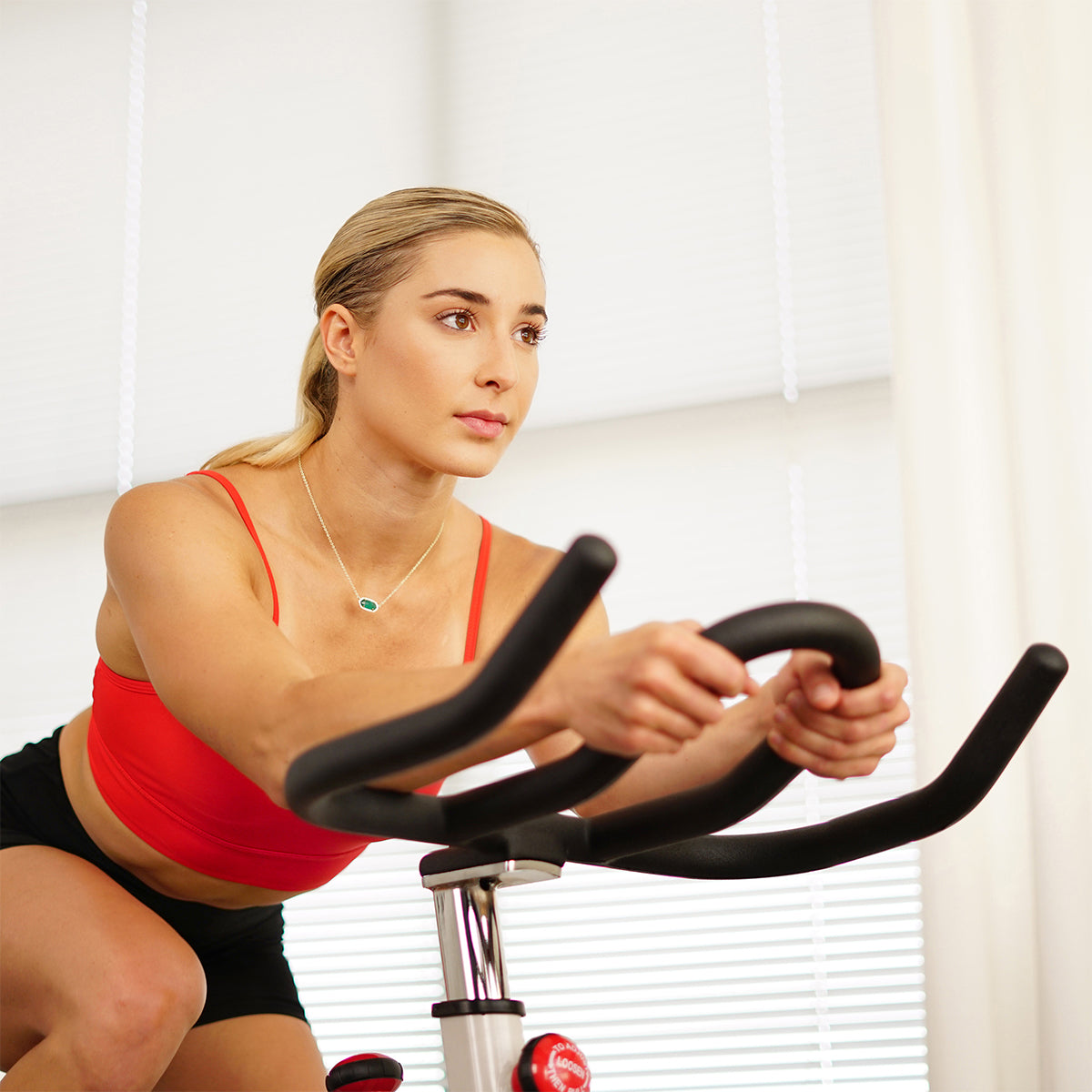  Premium Cycling Exercise Bike Indoor Fitness Belt Drive Clipless Pedal、mySite、ghnorth