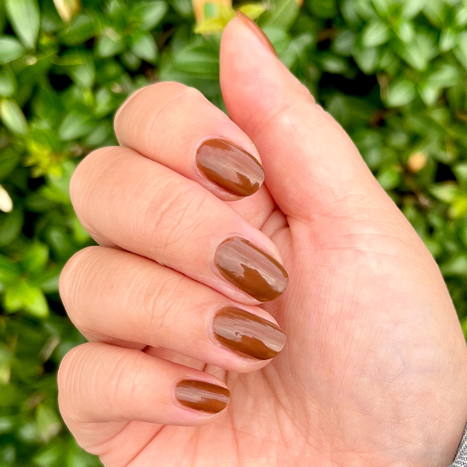 Americano、mySite、solidvoid