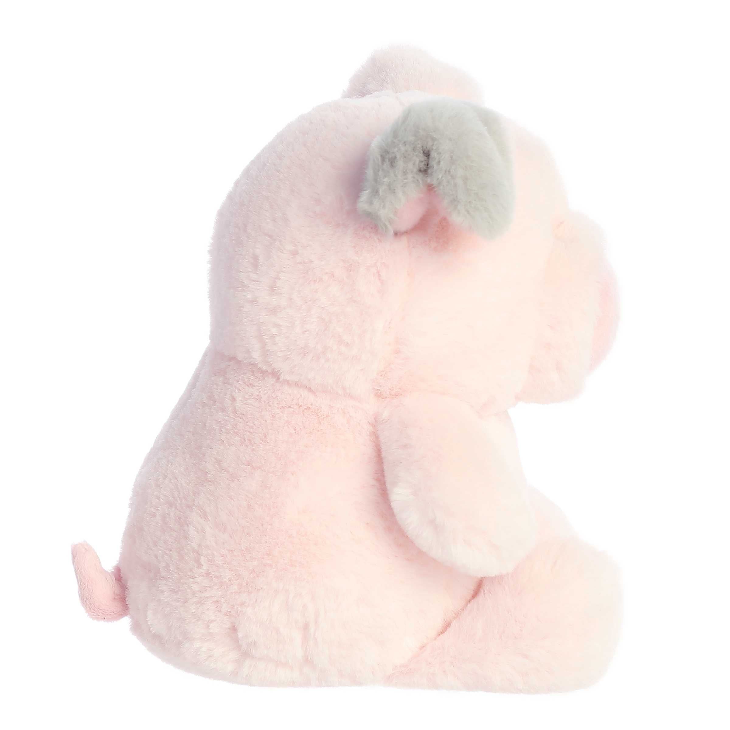 Aurora® - Stubez™ - 11 Smarty Pig™、mySite、g9winljtr