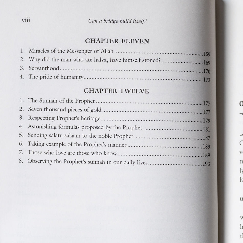 Can a Bridge Build Itself?: Essays on Belief and Moral Values、mySite、topwebapps