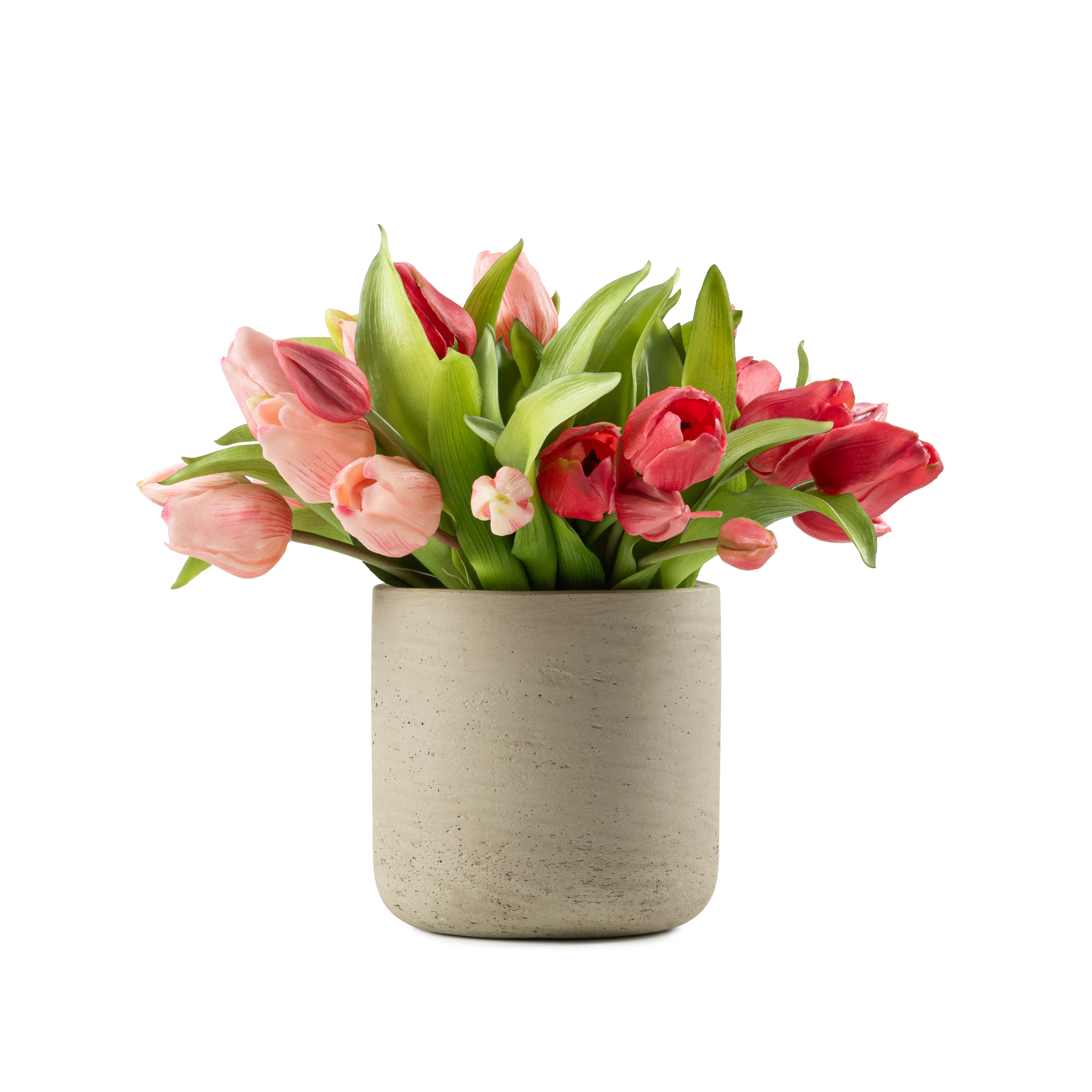  DH Pink Tulips in Charlie Small Vase、mySite、elrpsem3k