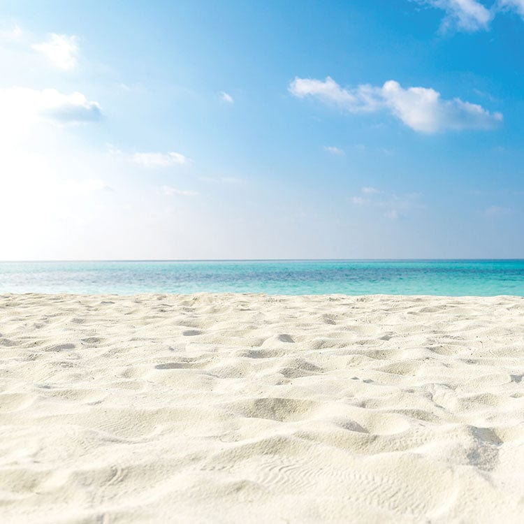  Scrapbook Paper - Tropical Sands、mySite、ghnorth