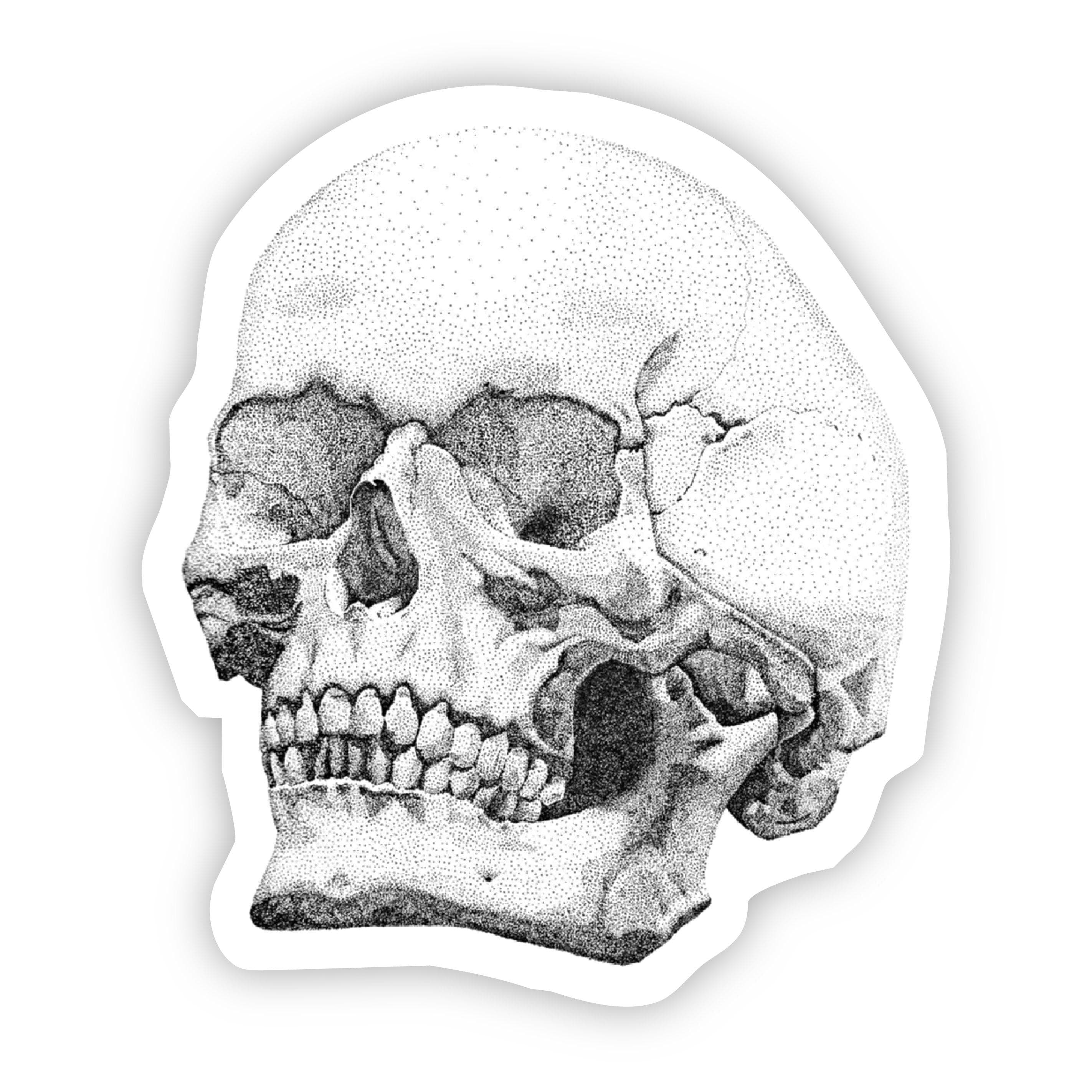 Skull Sticker (Black and White)、mySite、elrpsem3k