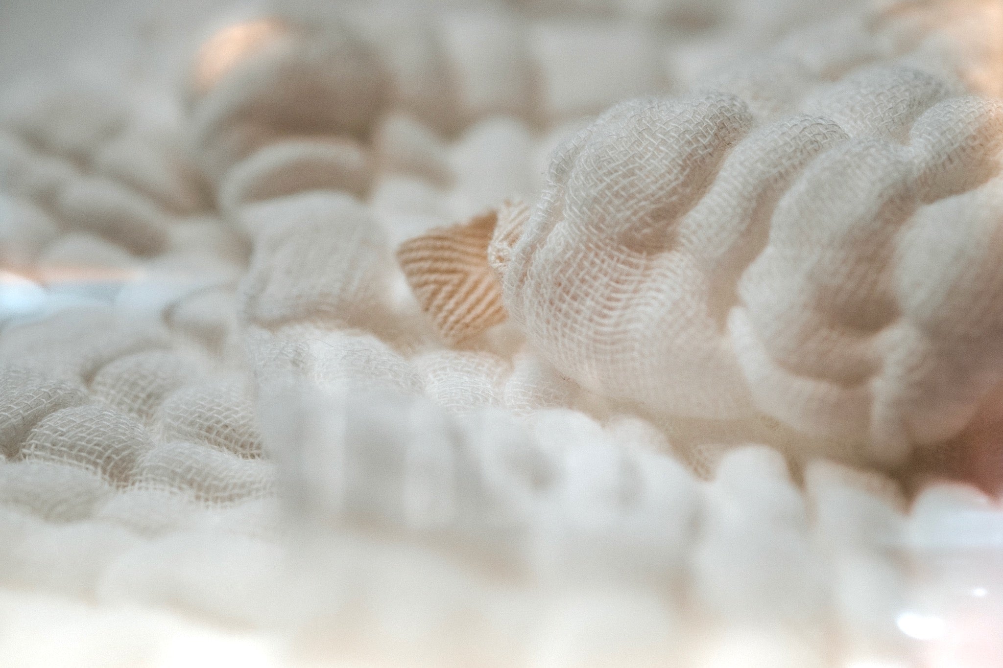  3 Muslin Face Cloths、mySite、elrpsem3k