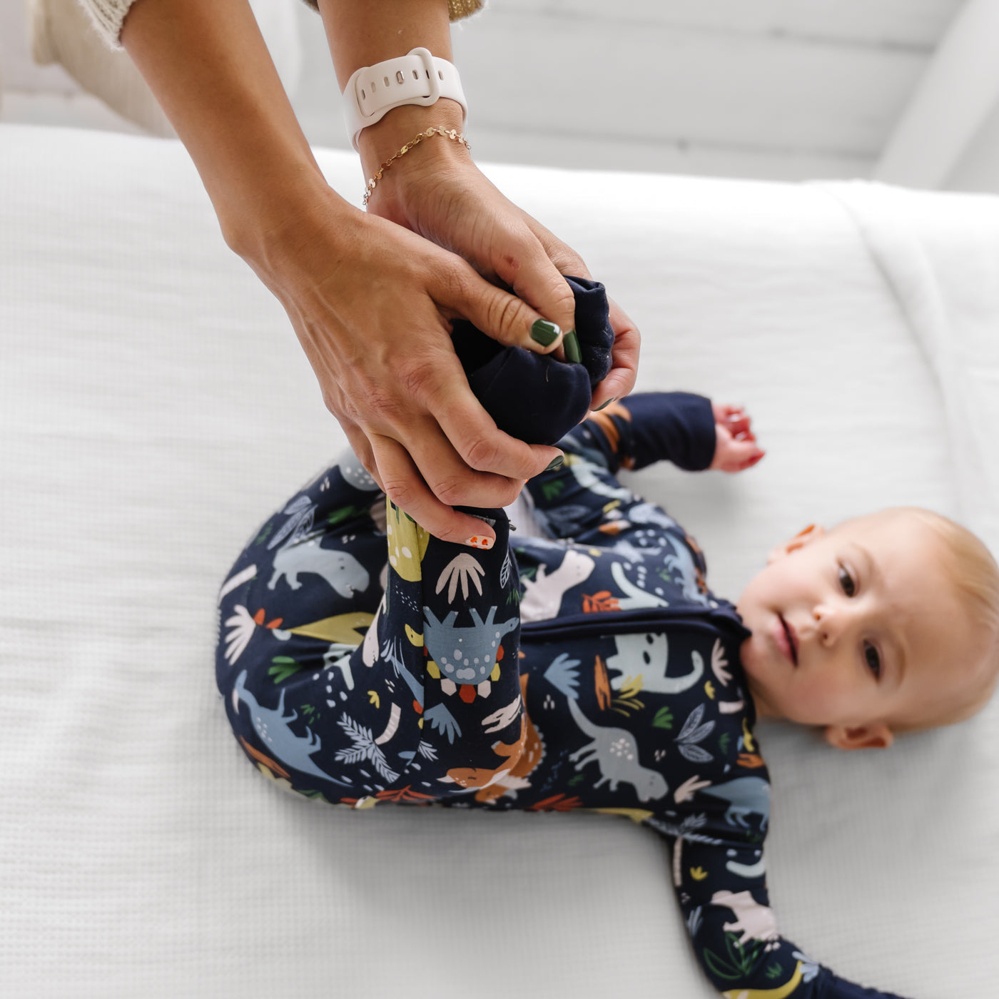 Navy Jurassic Jungle Zippy、mySite、g9winljtr