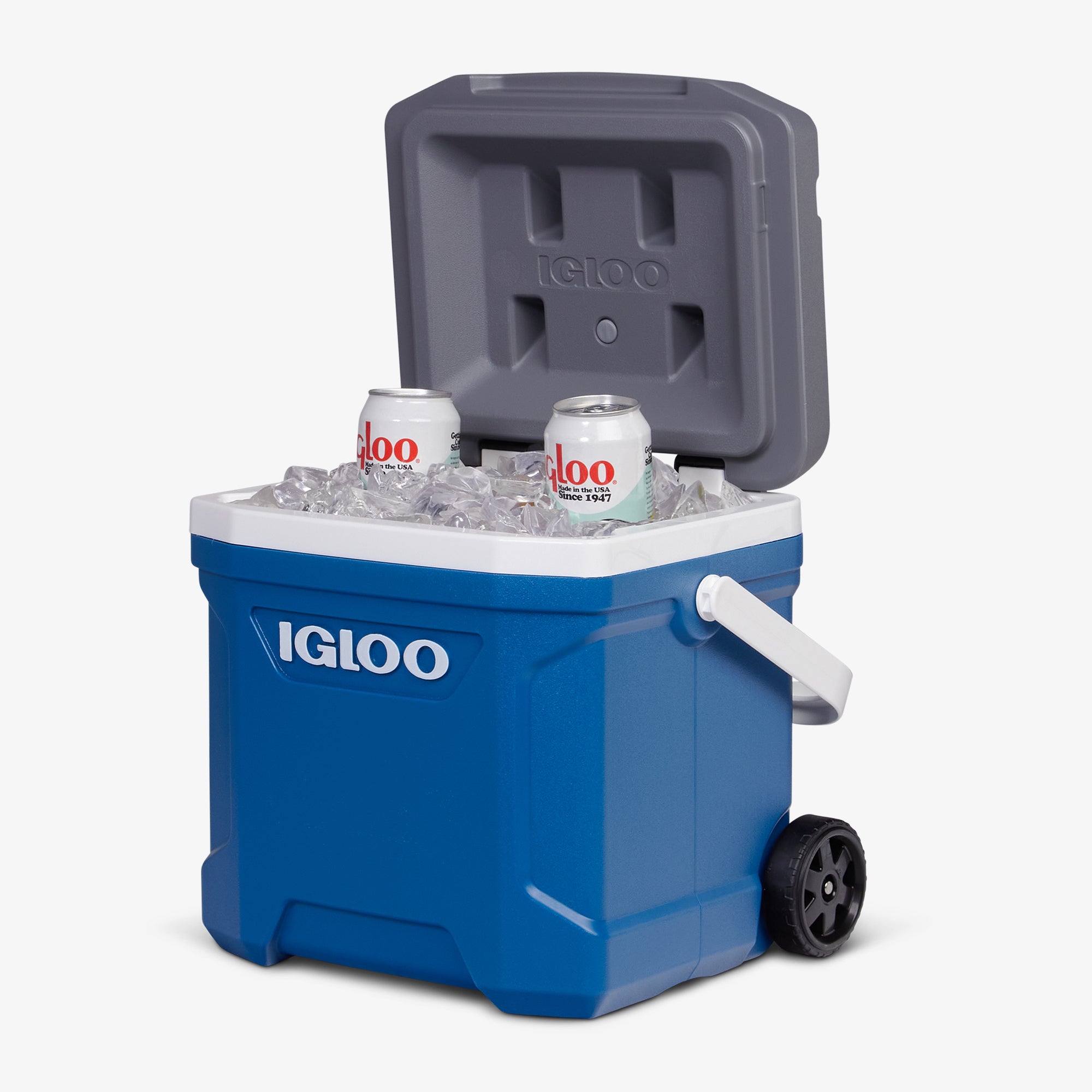 Latitude 16 Qt Roller Cooler、mySite、noshort