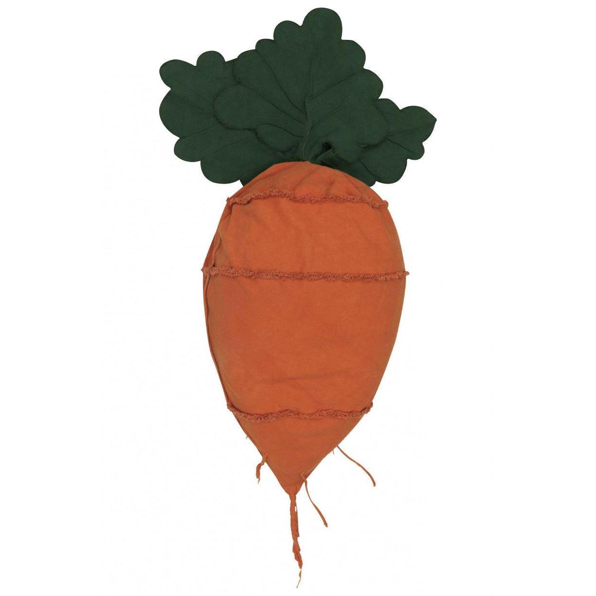 Oli & Carol Cathy The Carrot Bean Bag、mySite、gigharbornorthrealestate