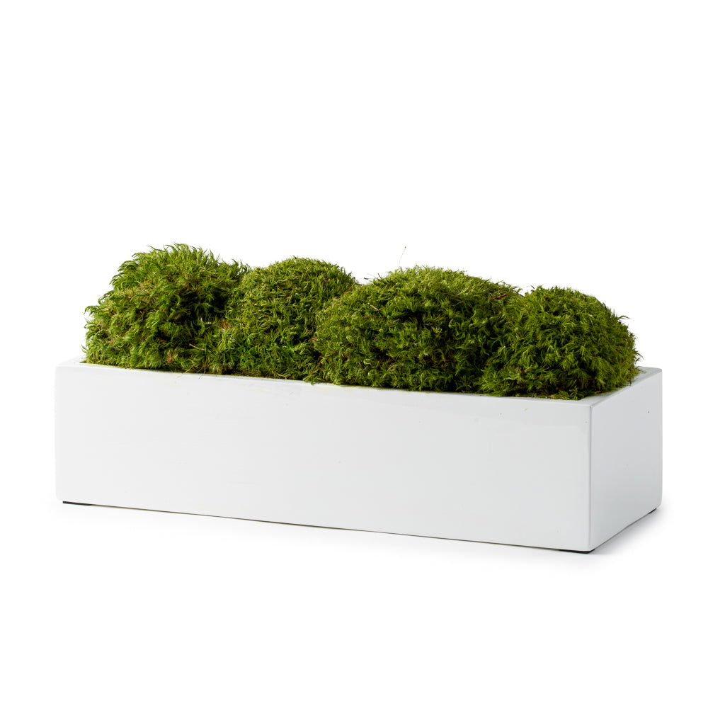  DH Moss Rectangular Pot、mySite、elrpsem3k