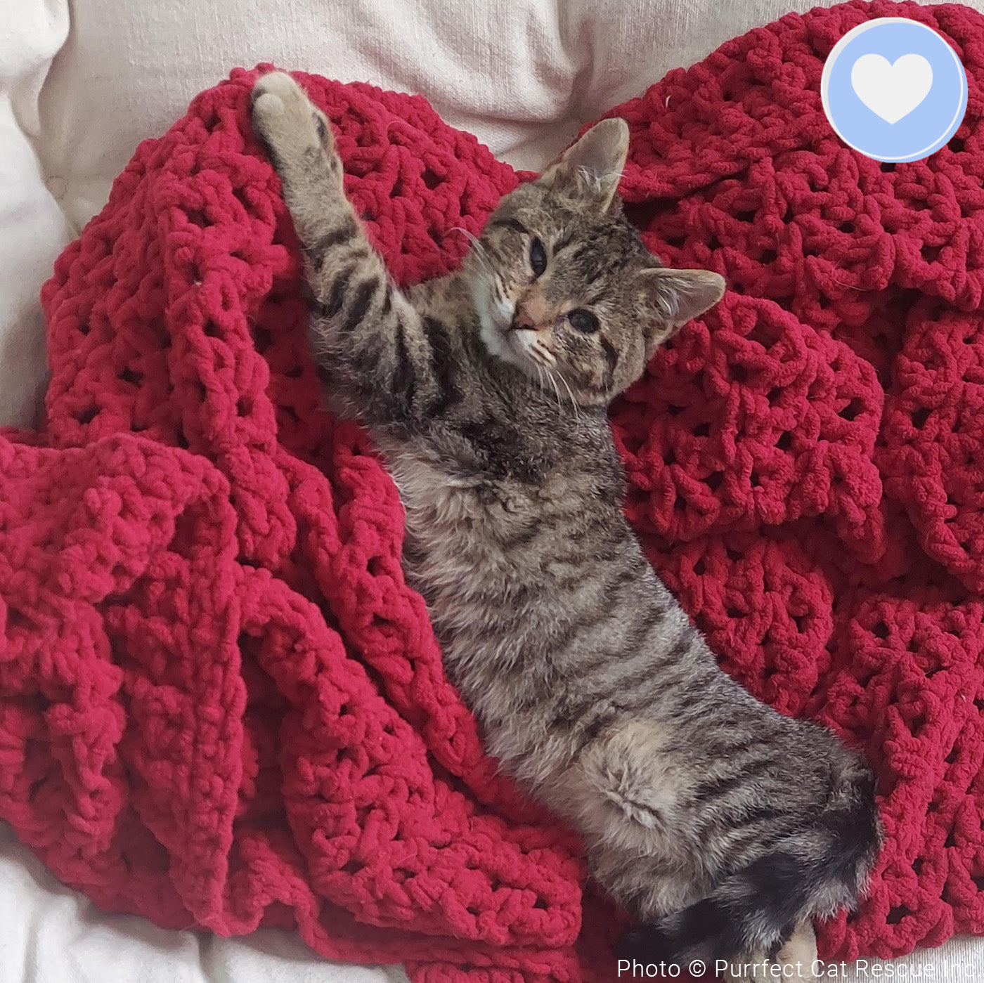 Funded - Help Doug Keep His Sight、mySite、camillekostekn