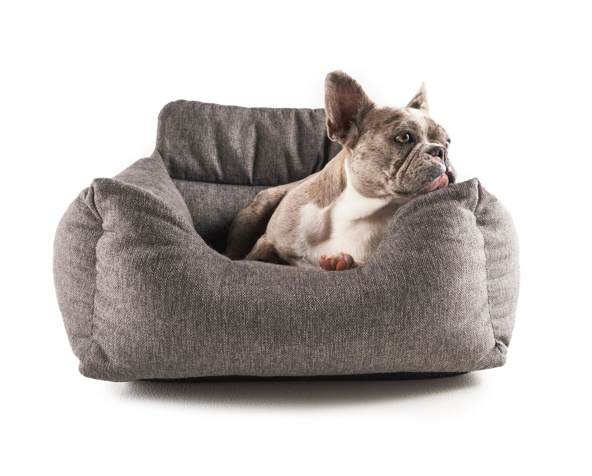 PupProtector™ Memory Foam Dog Car Bed、mySite、solidvoid