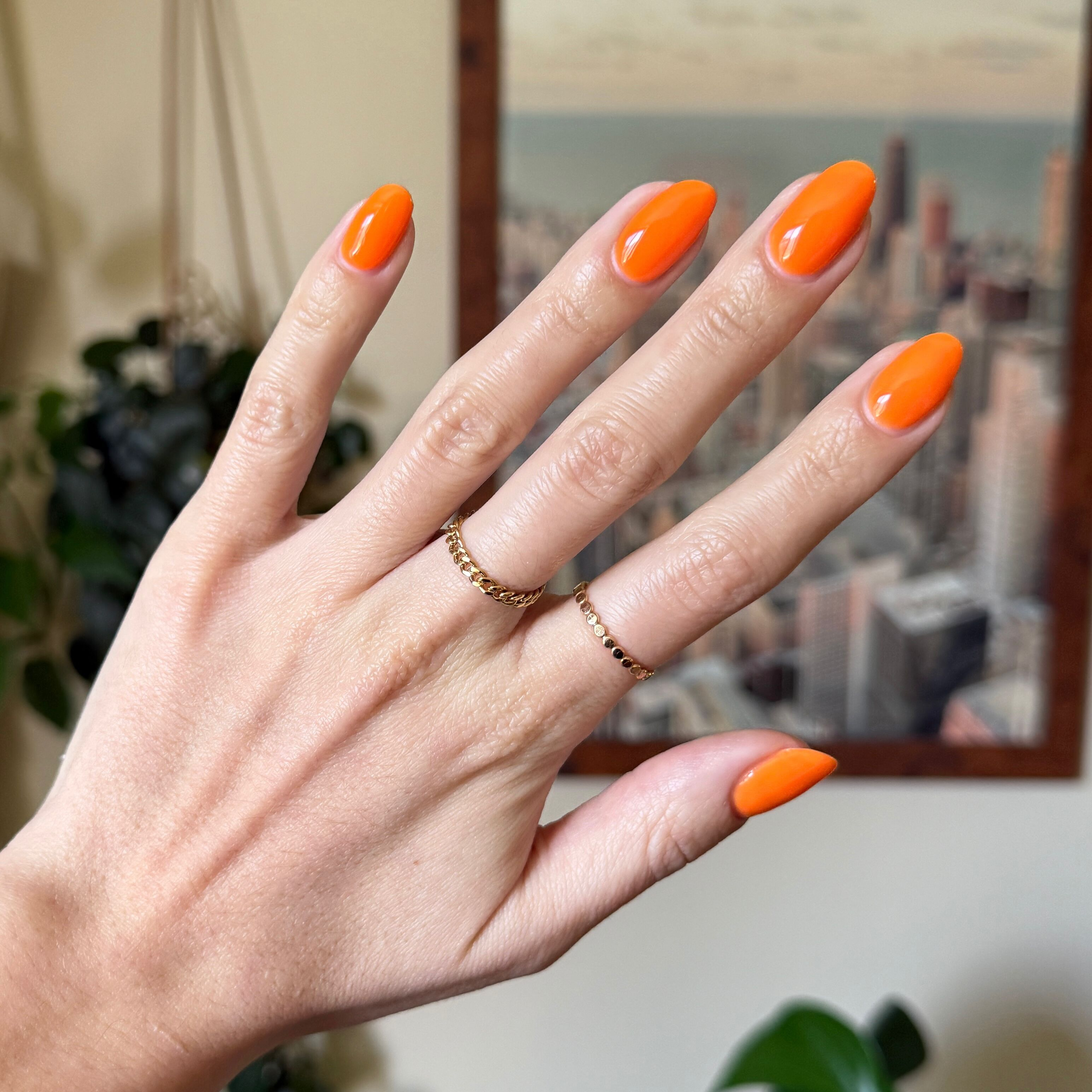 OOO 4EVA - Gel、mySite、solidvoid