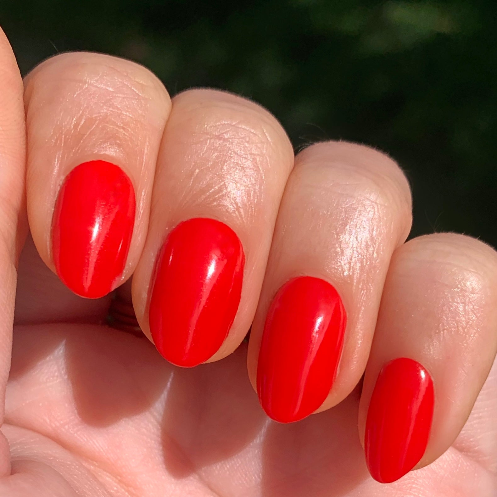 Kiss Cam、mySite、solidvoid