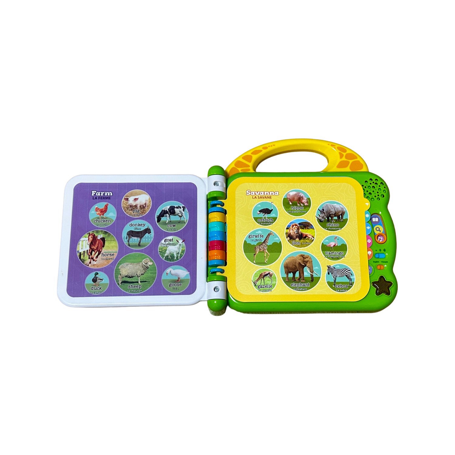 Leapfrog Educational Game & Activity Set O/S、mySite、g9winljtr
