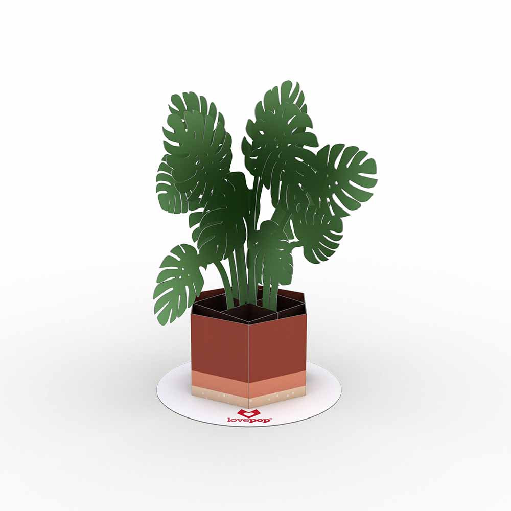 Stickerpop™: Monstera (5-Pack)、mySite、solidvoid