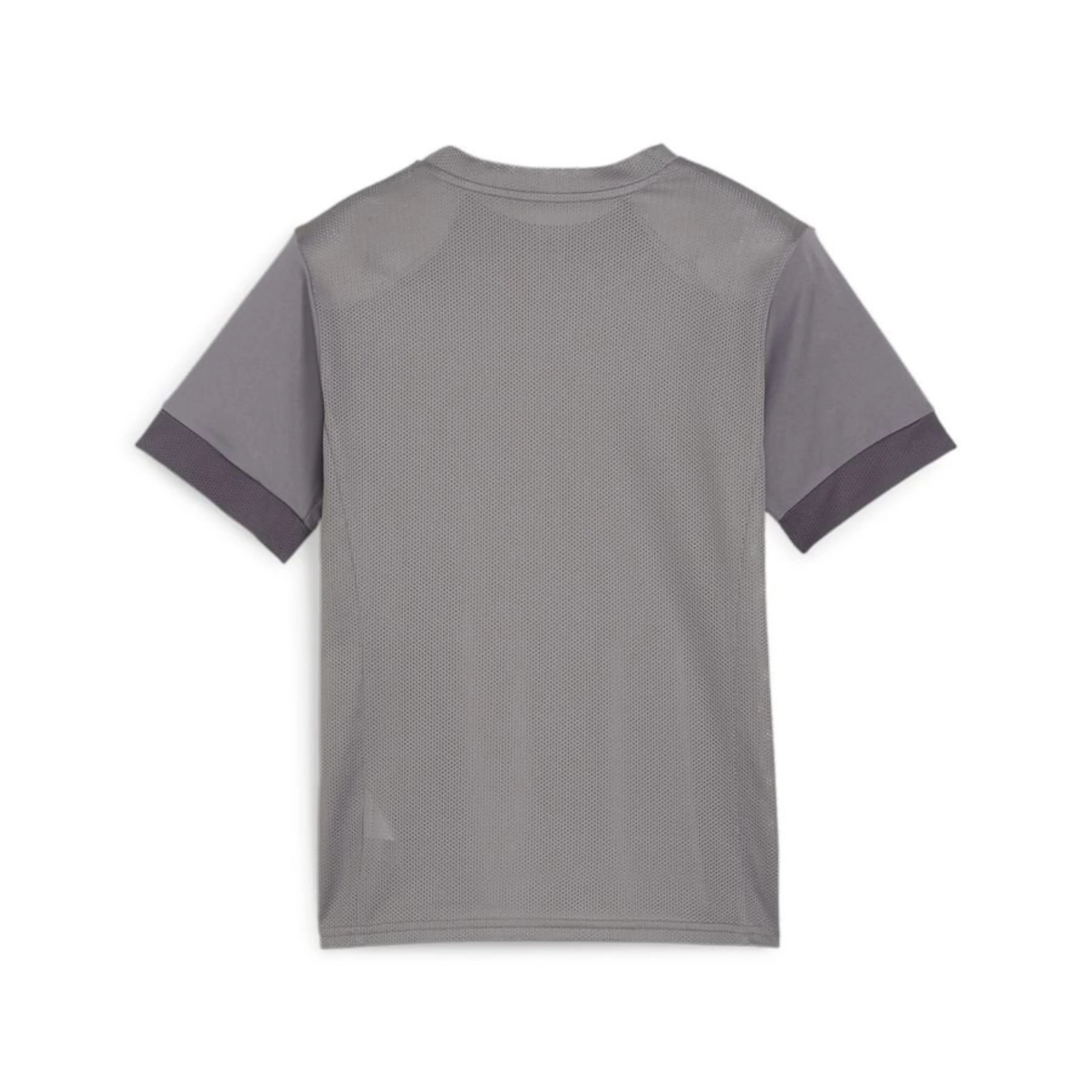 Puma TeamGoal Matchday Jersey - Grey GRAY、mySite、noshort