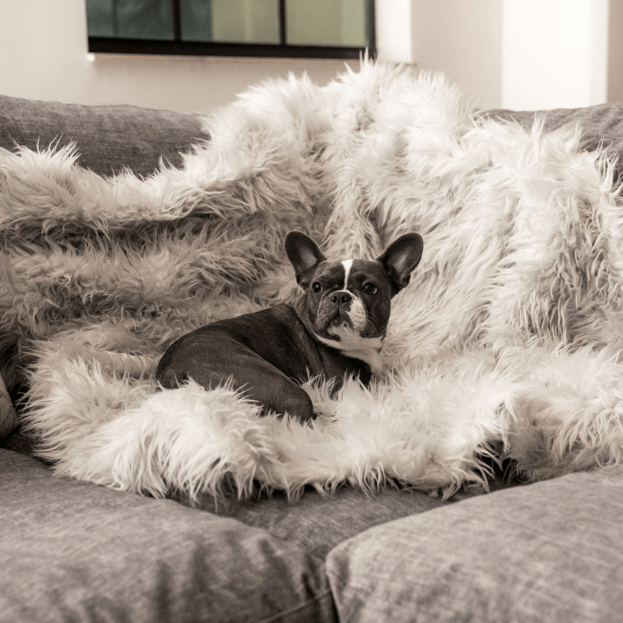 PupProtector™ Waterproof Throw Blanket - Grey、mySite、solidvoid