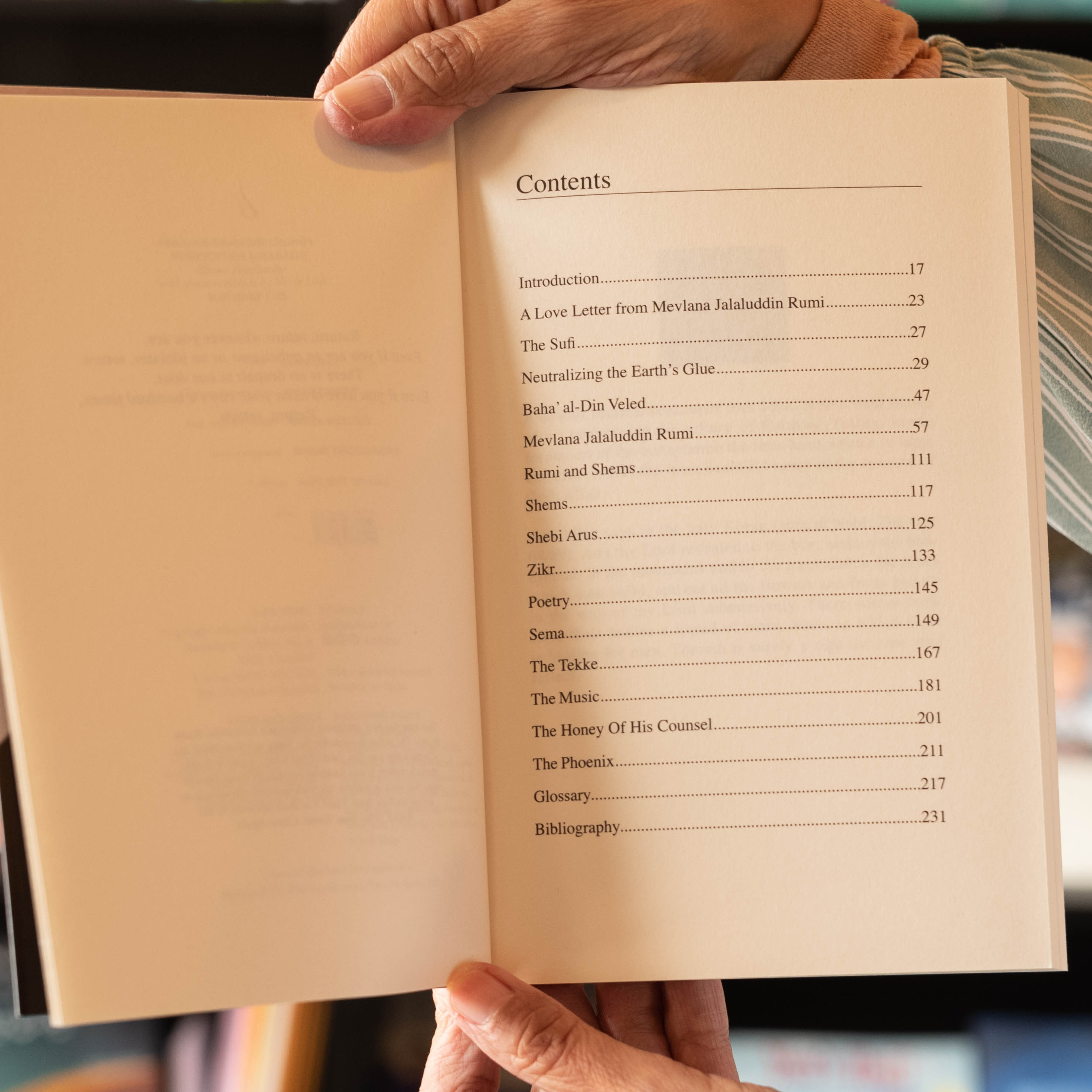 Mevlana Jalaluddin Rumi's Forgotten Message、mySite、topwebapps